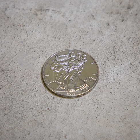 eagle_zilver2012_voor_488x488.png