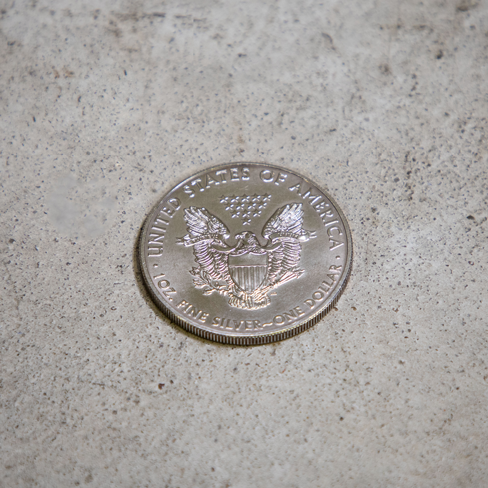 eagle_zilver2012_achter_488x488.png