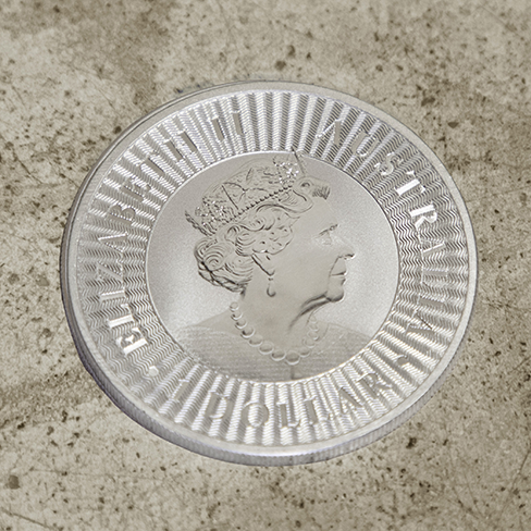 kangaroo_zilver2022_achter_488x488.png