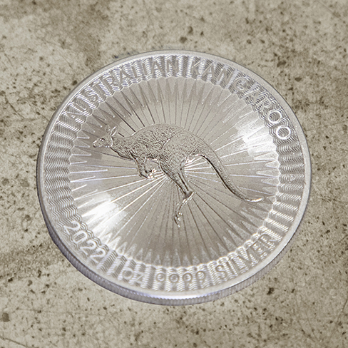 kangaroo_zilver2022_voor_488x488.png