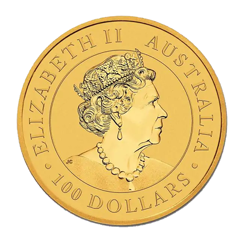 kangaroo_goud2022_achter.png